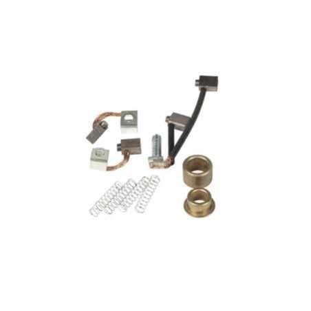 Brush kit compatible BRIGGS&STRATTON engine 395538 | NewgardenParts.com