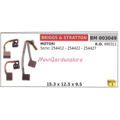 briggs&stratton Juego de escobillas de motor eléctrico para 254412 serie 254422 003049 | NewgardenParts.com