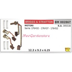 Kit spazzole motori elettrici briggs&stratton motore serie 176432 176437 002867 | NewgardenParts.com