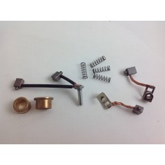 Kit spazzole ricambi motorini avviamento BRIGGS & STARTTON 395538 | NewgardenParts.com