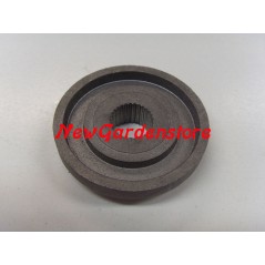 BRIGGS & STRATTON Motor mit 7 bis 18 PS Füllstandsnadelsatz 394681 222008 | NewgardenParts.com