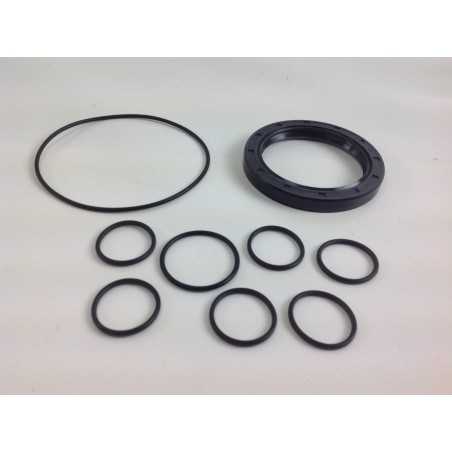 Kit UNIVERSEL pompe Bertolini PA 330 430 006519 | NewgardenParts.com