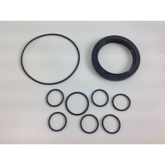 UNIVERSAL kit Bertolini pump PA 330 430 006519 | NewgardenParts.com