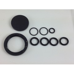 UNIVERSAL pump kit Bertolini PA 408 508 608 000031 | NewgardenParts.com