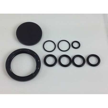 Kit UNIVERSEL pompe Bertolini PA 408 508 608 000031 | NewgardenParts.com