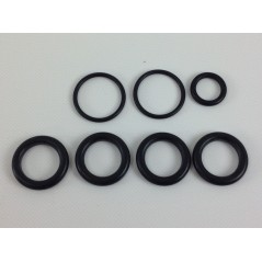 UNIVERSAL-Pumpenbausatz Bertolini PA 408 508 608 000031 | NewgardenParts.com