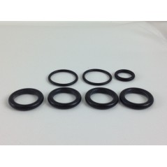 UNIVERSAL pump kit Bertolini PA 408 508 608 000031 | NewgardenParts.com
