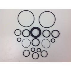 Kit de bomba UNIVERSAL Bertolini TRIAL D 000025 | NewgardenParts.com