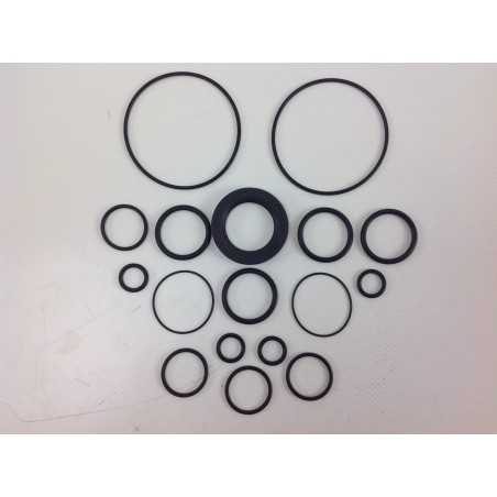 Kit UNIVERSEL pour pompe Bertolini TRIAL D 000025 | NewgardenParts.com