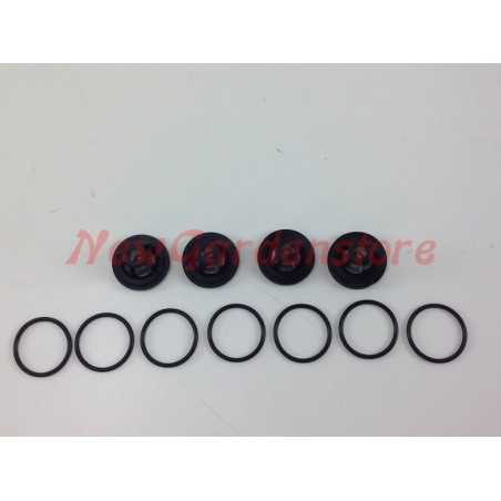 Kit valve UNIVERSELLE pompe Bertolini 31S 003196 | NewgardenParts.com