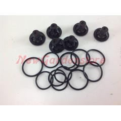 Kit de válvula UNIVERSAL Bomba Bertolini PA 530 003326 | NewgardenParts.com
