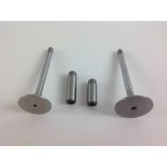 Kit valvole + guidavalvole motore diesel LOMBARDINI LDA832 LDA833 LDA672 LDA673
