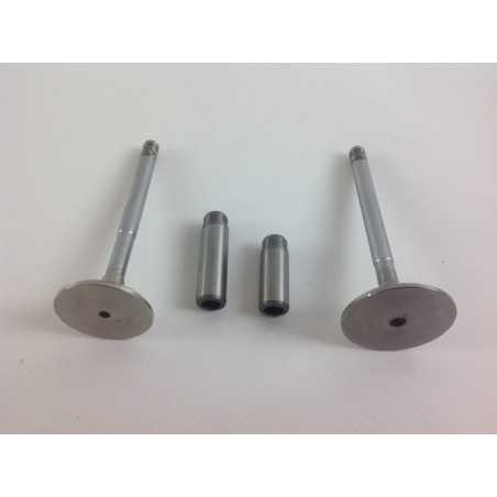 Kit valvole + guidavalvole motore diesel LOMBARDINI LDA832 LDA833 LDA672 LDA673 | NewgardenParts.com