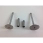 Kit valvole + guidavalvole motore diesel LOMBARDINI LDA832 LDA833 LDA672 LDA673
