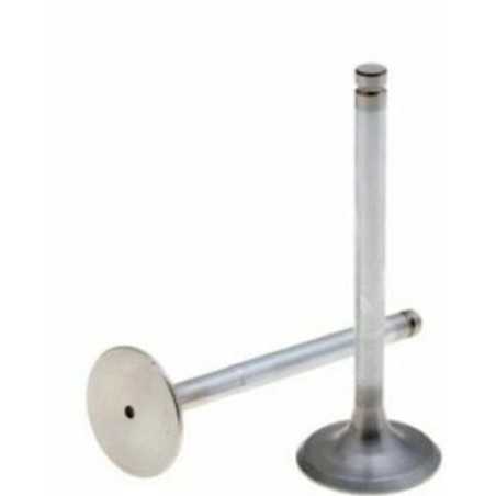 Kit intake valves RUGGERINI RD220 RD240 RD270 RD278 engine 960.57 | NewgardenParts.com