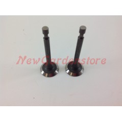 Suction valve kit for LONCIN 1P65A lawn tractor engine exhaust 550034 | NewgardenParts.com