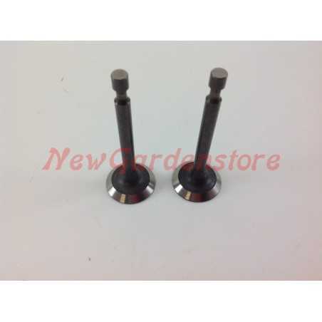 Suction valve kit for LONCIN 1P65A lawn tractor engine exhaust 550034 | NewgardenParts.com