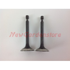 Ansaugventilsatz, Motorauspuff LONCIN 1P65A 550034 | NewgardenParts.com