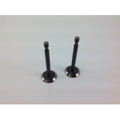 LONCIN 1P65FE Rasentraktor-Motorabsaugventilsatz 550034 | NewgardenParts.com