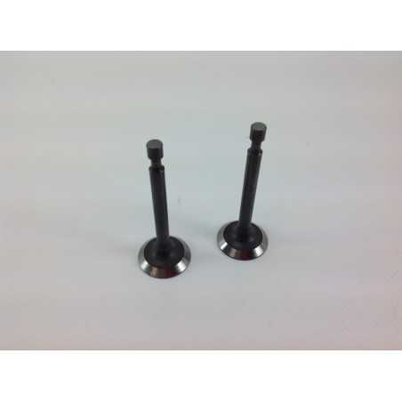 LONCIN 1P65FE Rasentraktor-Motorabsaugventilsatz 550034 | NewgardenParts.com