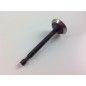 LONCIN 1P65FE Rasentraktor-Motorabsaugventilsatz 550034