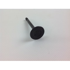 LONCIN 1P65FE Rasentraktor-Motorabsaugventilsatz 550034 | NewgardenParts.com
