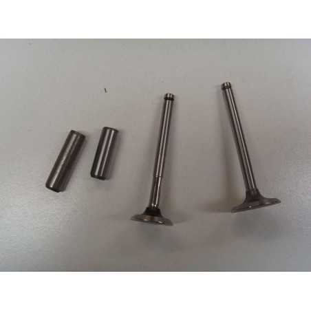 Kit valvole con guida valvole motore DIESEL LOMBARDINI 6LD360 6LD400 KIT6L2