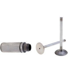 Kit válvula con guía válvula motor RUGGERINI RF90 RF120 RF130 RF140 RD210 | NewgardenParts.com