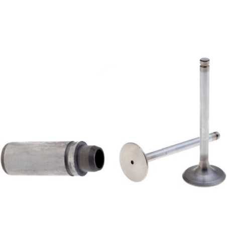 Kit válvula con guía válvula motor RUGGERINI RF90 RF120 RF130 RF140 RD210 | NewgardenParts.com