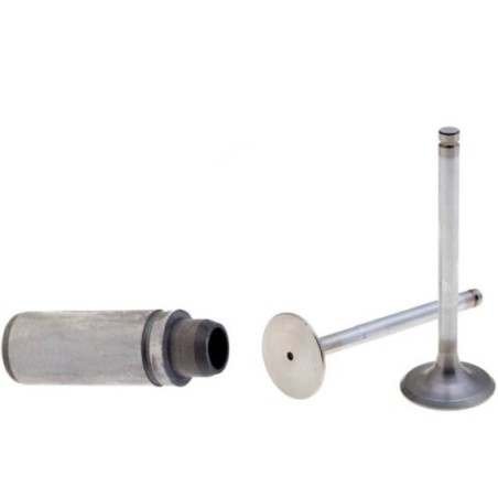 Kit valvole con guida valvole motore RUGGERINI RF90 RF120 RF130 RF140 RD210 | NewgardenParts.com