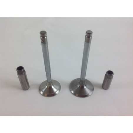 Valve kit with valve guide engine DIESEL LOMBARDINI 15LD400 15LD440 130033K | NewgardenParts.com