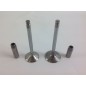 Valve kit with valve guide engine DIESEL LOMBARDINI 15LD400 15LD440 130033K