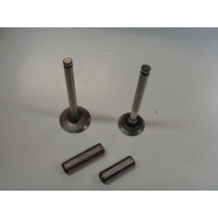 Kit soupape avec guide soupape moteur DIESEL LOMBARDINI 520 523 530 532 KIT6L1