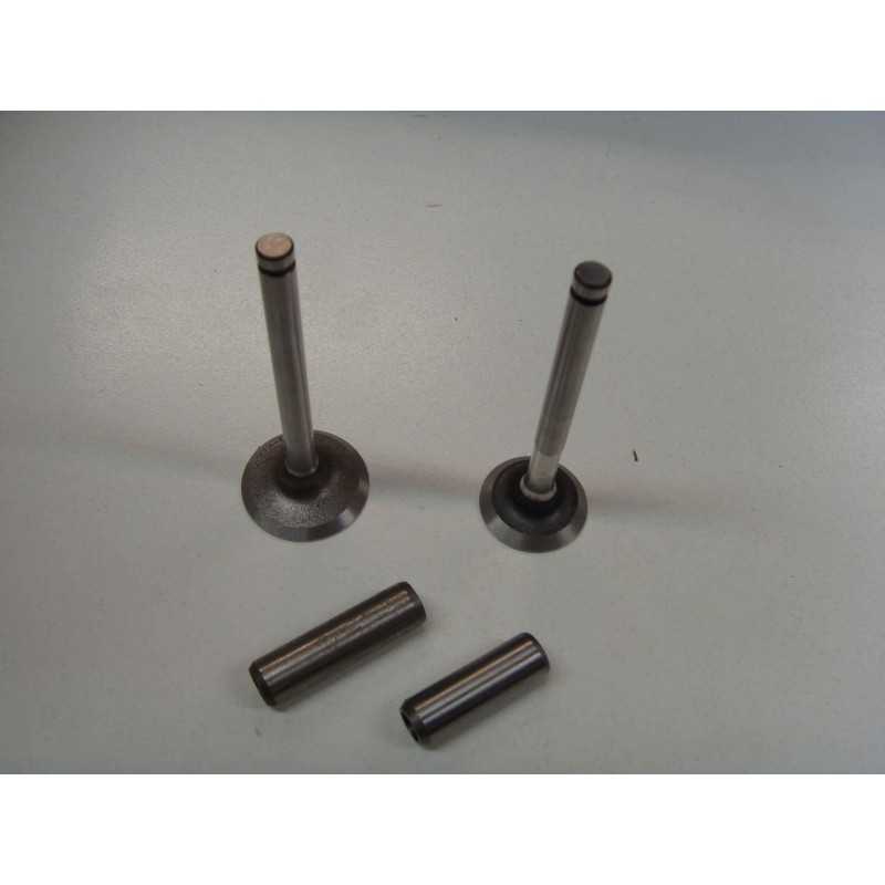 Valve kit with valve guide engine DIESEL LOMBARDINI 520 523 530 532 KIT6L1
