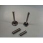 Valve kit with valve guide engine DIESEL LOMBARDINI 520 523 530 532 KIT6L1