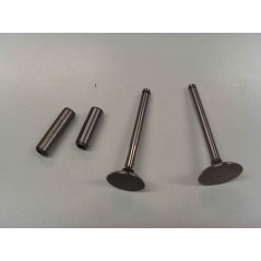 Valve kit with valve guide engine DIESEL LOMBARDINI 520 523 530 532 KIT6L1
