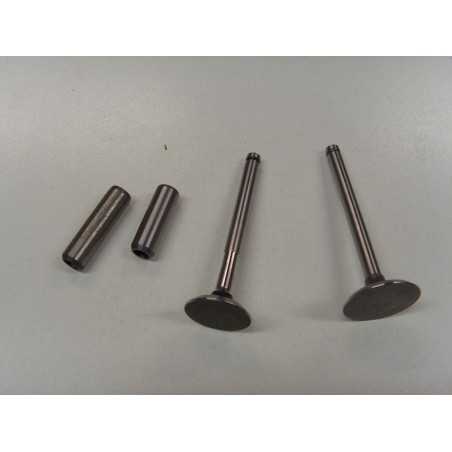 Valve kit with valve guide engine DIESEL LOMBARDINI 520 523 530 532 KIT6L1