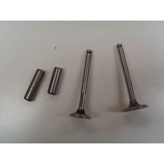 Valve kit with valve guide engine DIESEL LOMBARDINI 520 523 530 532 KIT6L1 | NewgardenParts.com