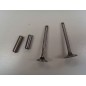 Valve kit with valve guide engine DIESEL LOMBARDINI 520 523 530 532 KIT6L1