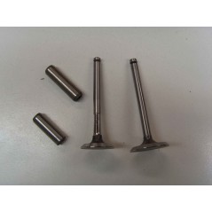 Valve kit with valve guides diesel engine LOMBARDINI LDW1603 LDW2204 | NewgardenParts.com