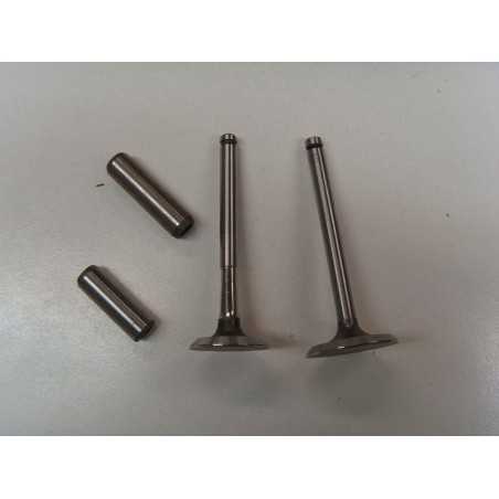 Valve kit with valve guides diesel engine LOMBARDINI LDW1603 LDW2204 | NewgardenParts.com