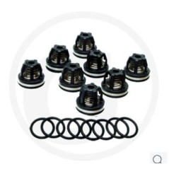 Kit valvole o-ring 670620030 per pompa a membrana AR 1064 AP C/C ANNOVI 6701964 | NewgardenParts.com