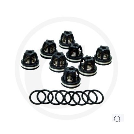 Kit valvole o-ring 670620030 per pompa a membrana AR 1064 AP C/C ANNOVI 6701964 | NewgardenParts.com