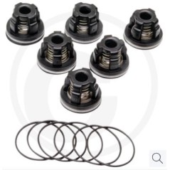 Kit válvula tórica para bomba de membrana AR 503 AP C/SP ANNOVI 6701987