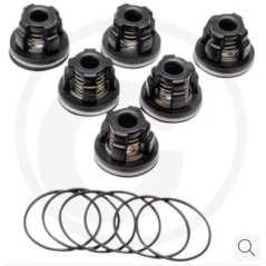 Kit valvole o-ring per pompa a membrana AR 503 AP C/SP ANNOVI 6701987 | NewgardenParts.com