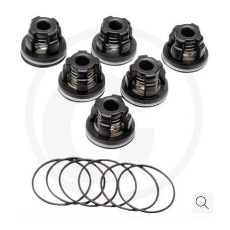 Kit joint torique pour pompe à membrane AR 503 AP C/SP ANNOVI 6701987 | NewgardenParts.com