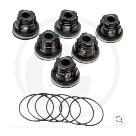 Kit valvole o-ring per pompa a membrana AR 503 AP C/SP ANNOVI 6701987 | NewgardenParts.com