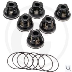 Kit valvole O-ring per pompa a membrana AR 813 ANNOVI 6701963 | NewgardenParts.com