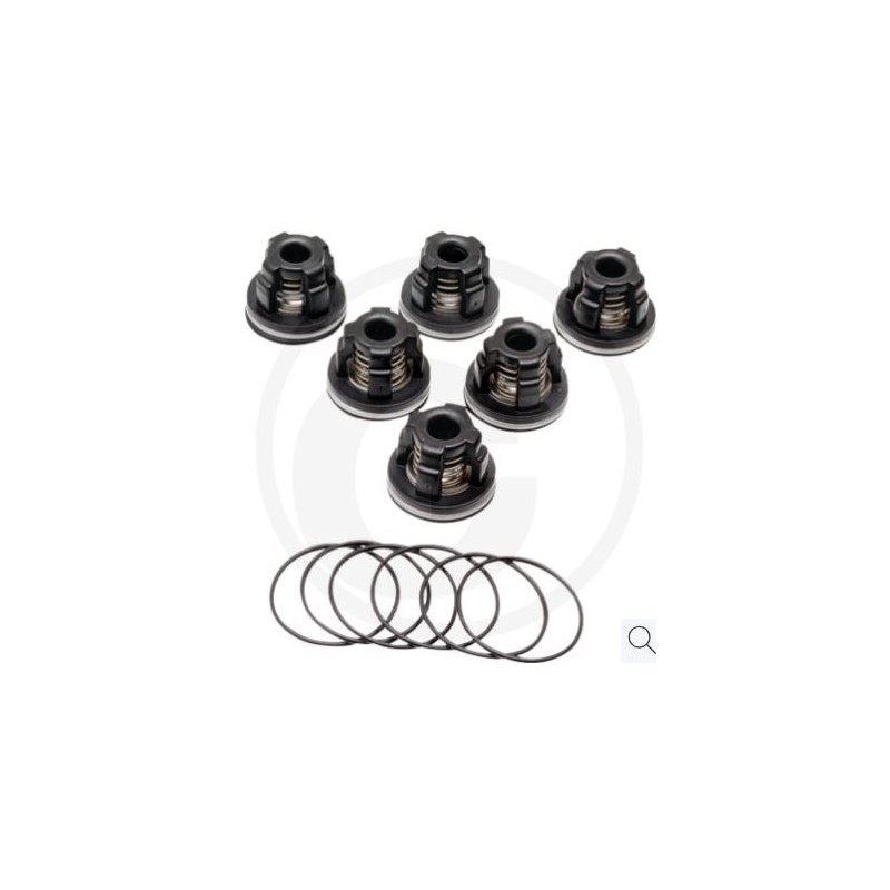 Kit valvole O-ring per pompa a membrana AR 813 ANNOVI 6701963