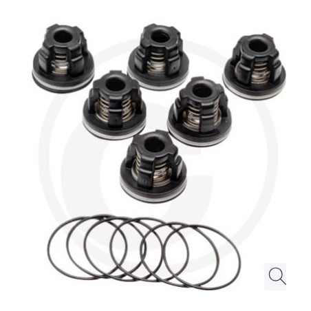 Kit valvole O-ring per pompa a membrana AR 813 ANNOVI 6701963 | NewgardenParts.com